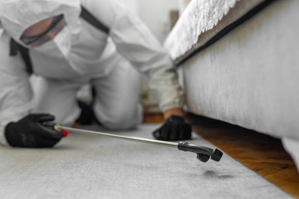 Professional Cockroach Control technician working in Vienna, GA