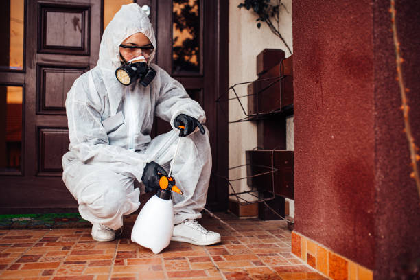 Reliable Cockroach Control contractor in Vienna, GA by Nex Pest Control